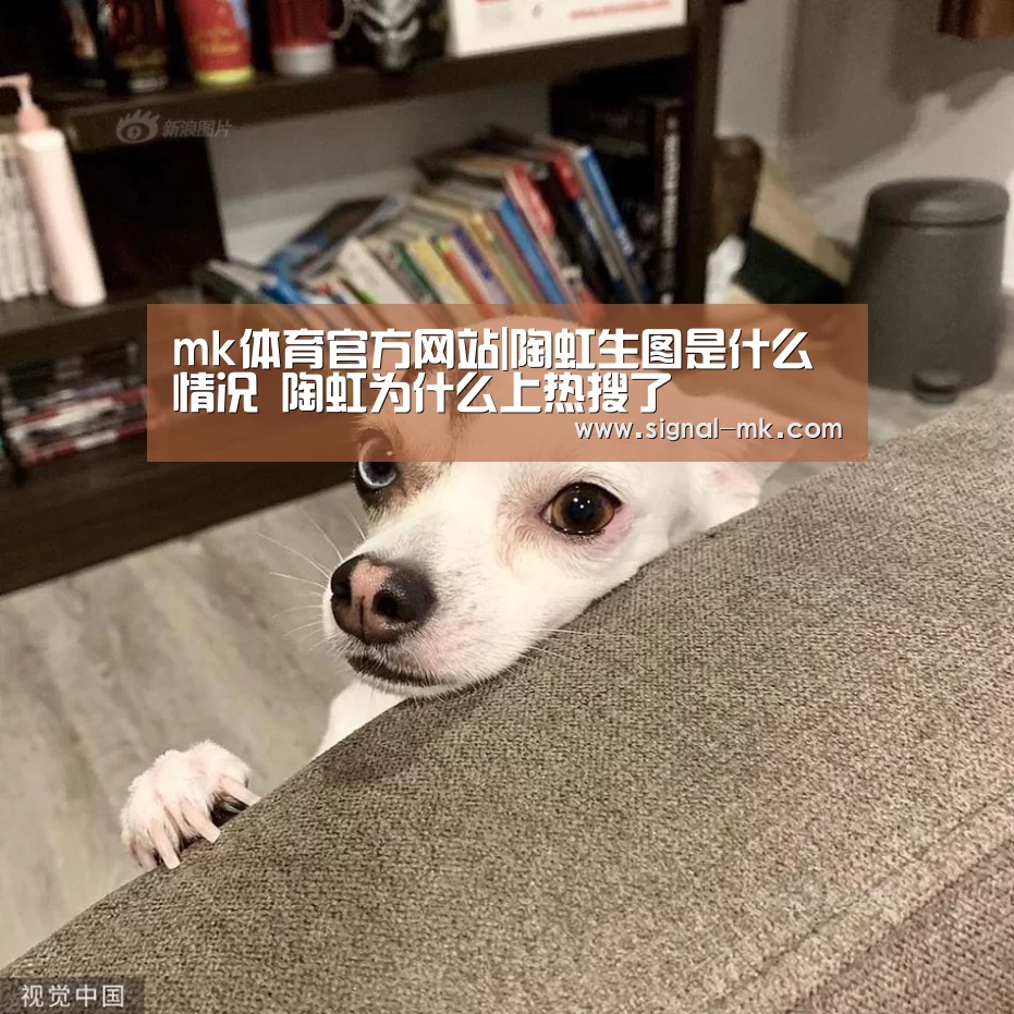 mk体育在线