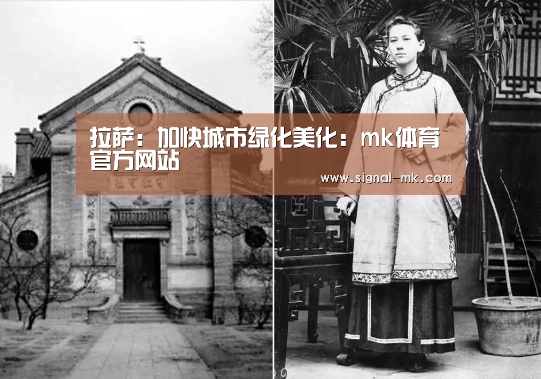 mk体育官方网站