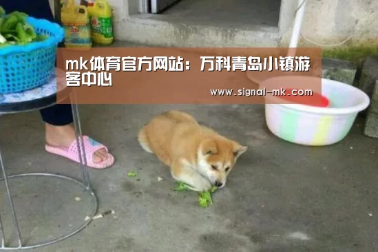 mk体育官方网站